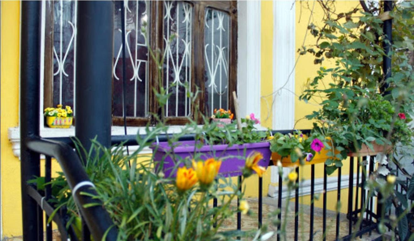 Colors Hostel تبليسي المظهر الخارجي الصورة