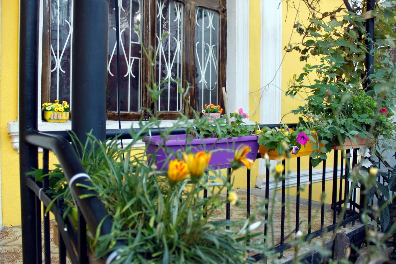 Colors Hostel تبليسي المظهر الخارجي الصورة