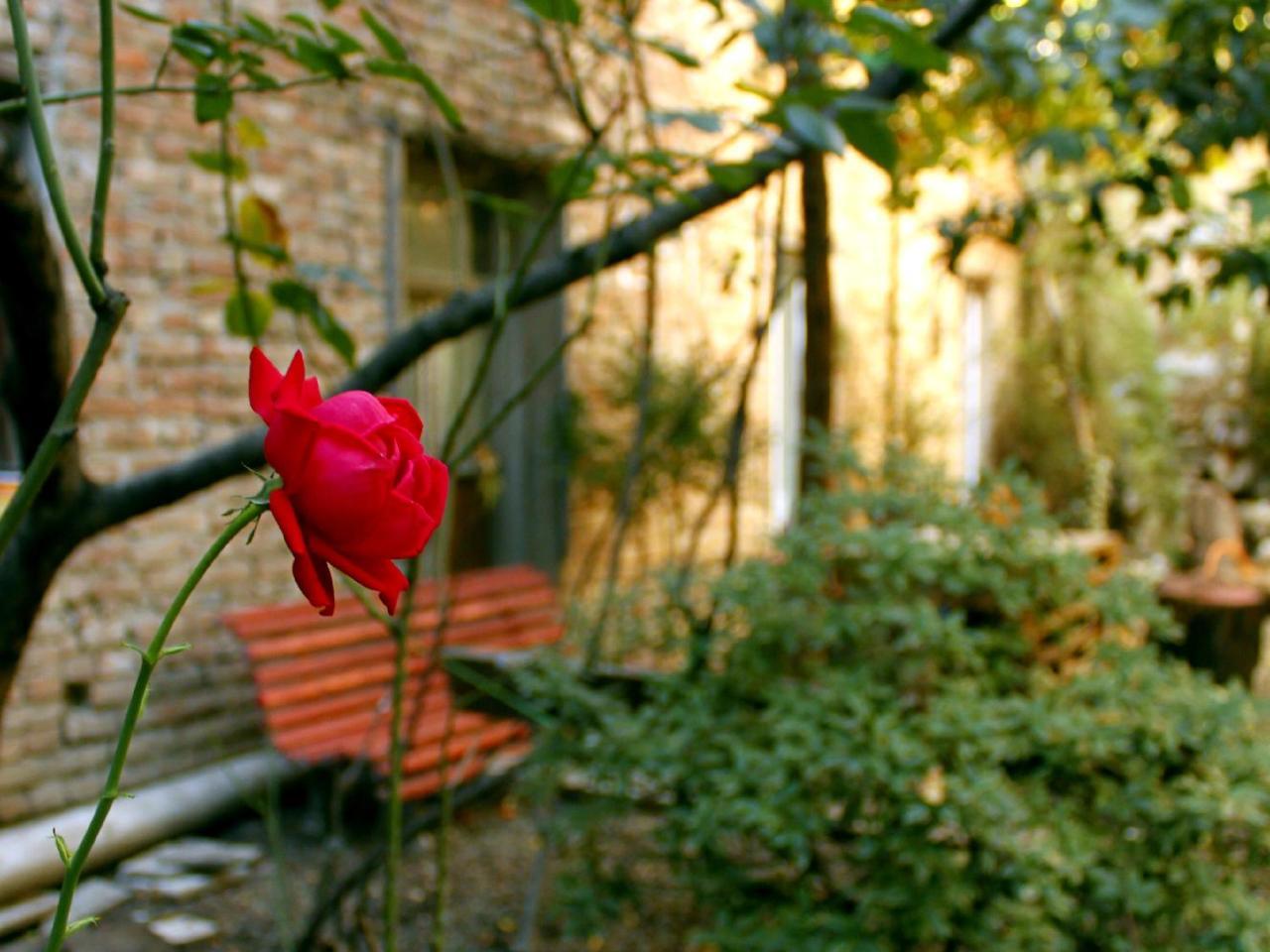 Colors Hostel تبليسي المظهر الخارجي الصورة